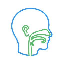 หู คอ จมูก